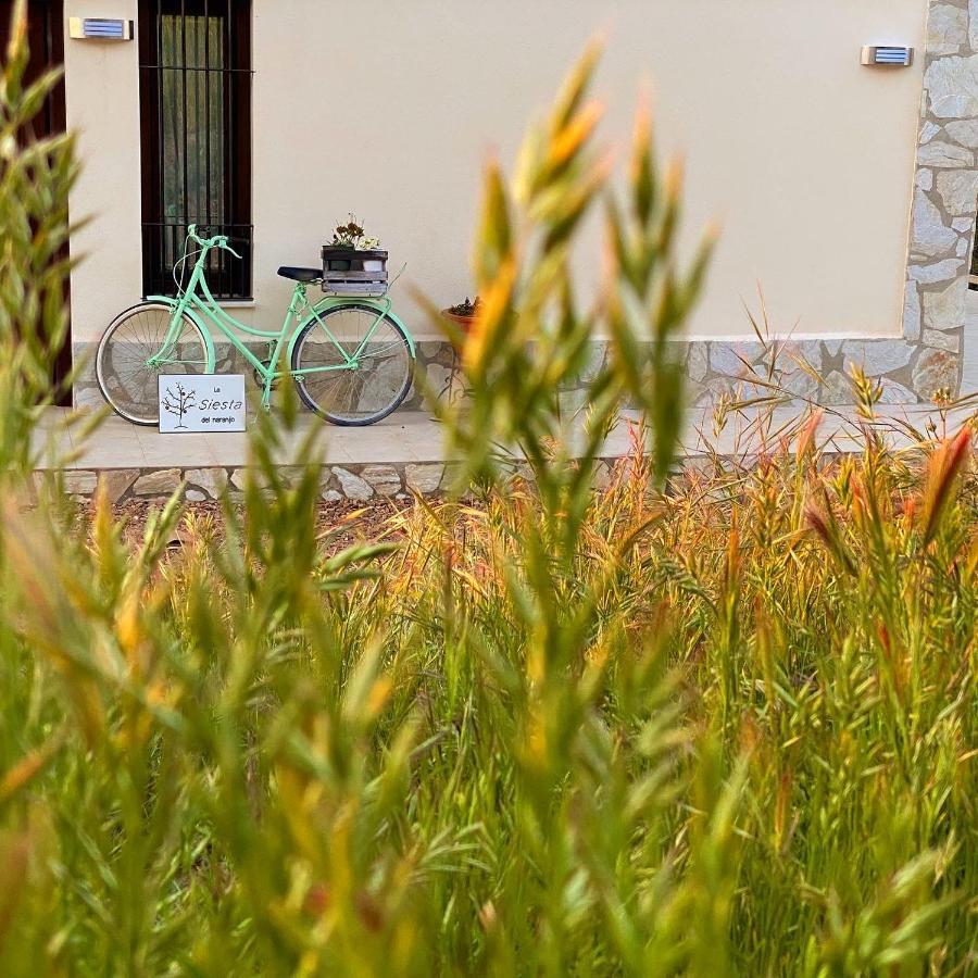 La Siesta Del Naranjo Villa Monesterio Bagian luar foto